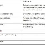Inovator krompira: karakteristike, sadnja i njega
